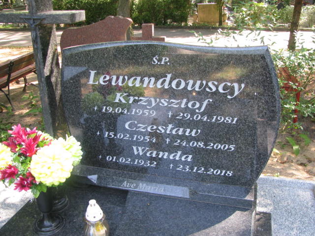 Czesław Lewandowski 1954 Police - Grobonet - Wyszukiwarka osób pochowanych