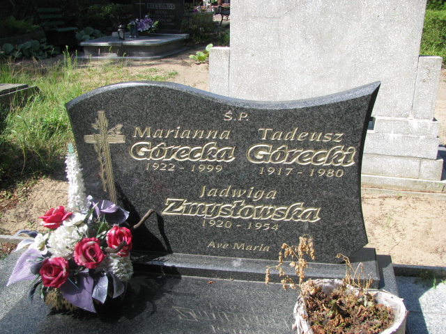 Tadeusz Górecki 1917 Police - Grobonet - Wyszukiwarka osób pochowanych