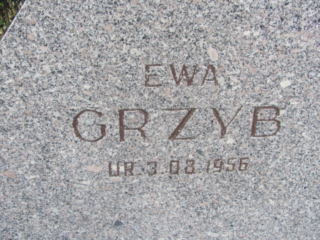 Zbigniew Grzyb 1956 Police - Grobonet - Wyszukiwarka osób pochowanych