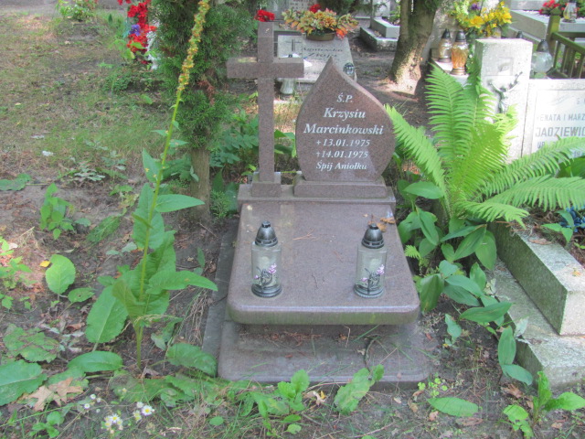 Grób Krzysztof Marcinkowski