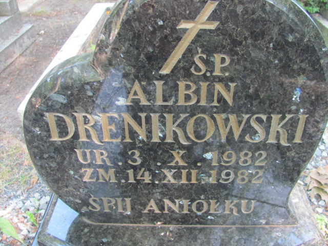 Albin Drenikowski 1982 Police - Grobonet - Wyszukiwarka osób pochowanych
