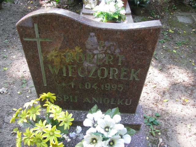 syn Wieczorek 1995 Police - Grobonet - Wyszukiwarka osób pochowanych