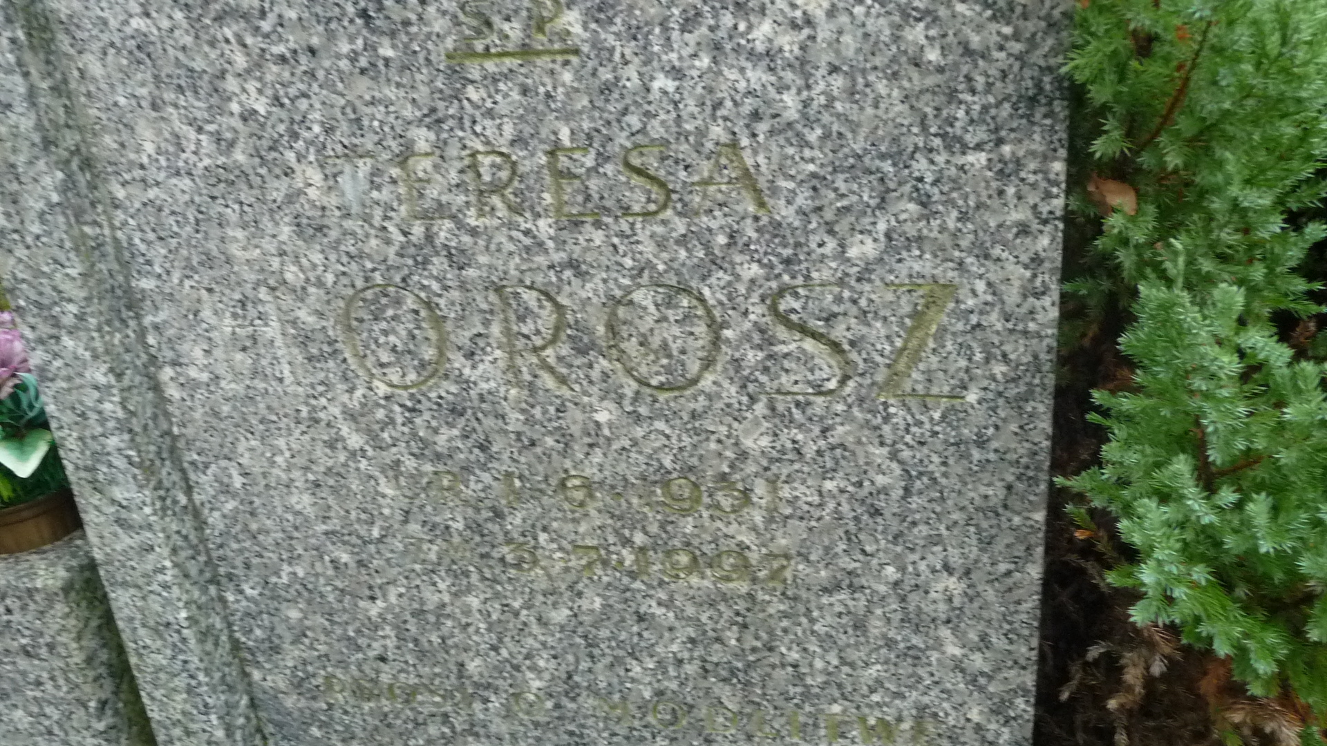 Grób Teresa Horosz
