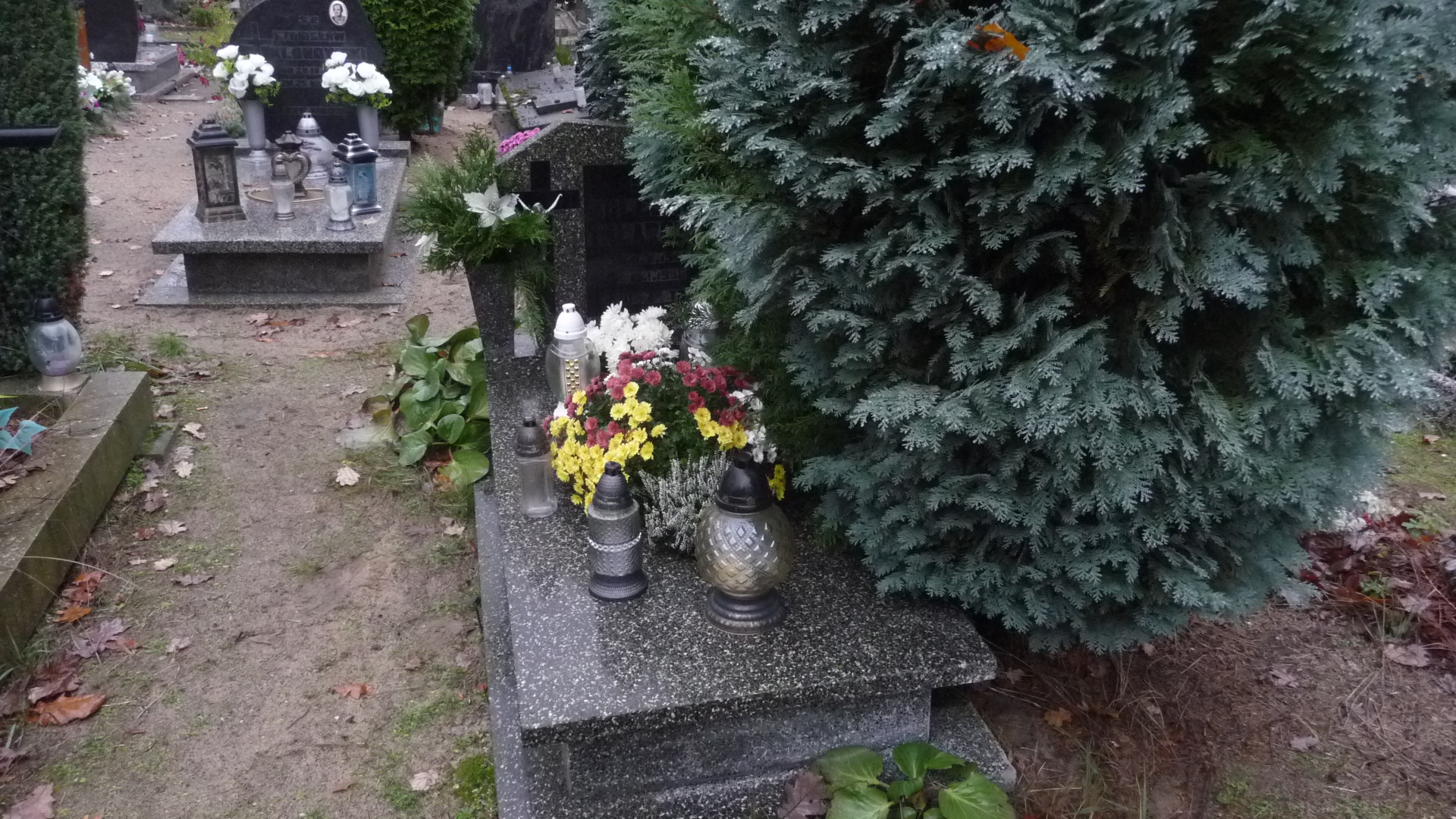 Grób Bolesław Talarczyk