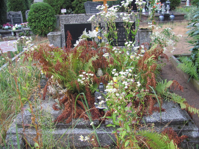 Grób Grzegorz Juszczak