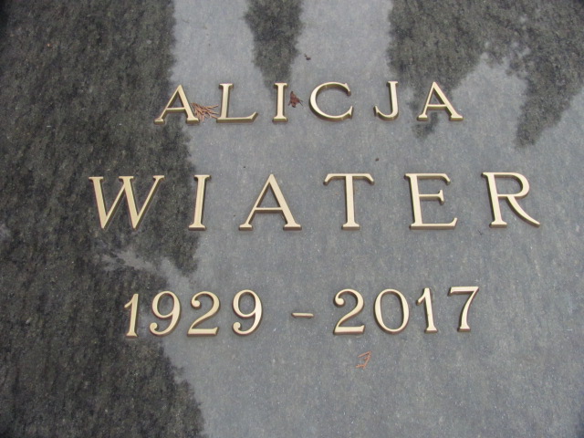 Janusz Wdowiak 1954 Police - Grobonet - Wyszukiwarka osób pochowanych