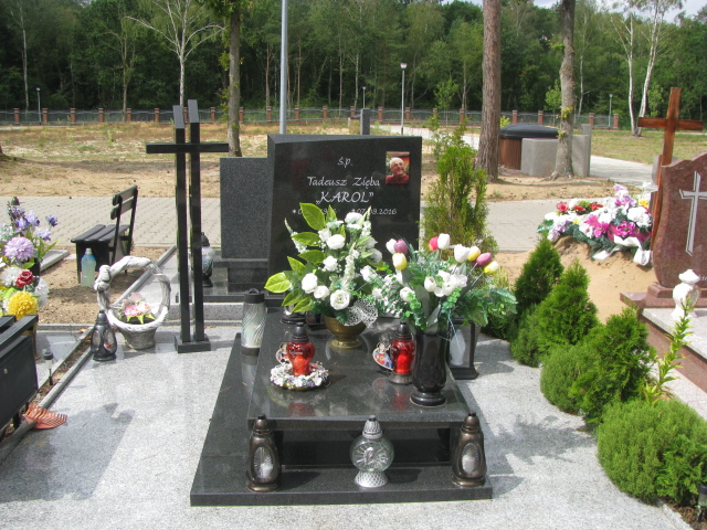 Grób Tadeusz Zięba