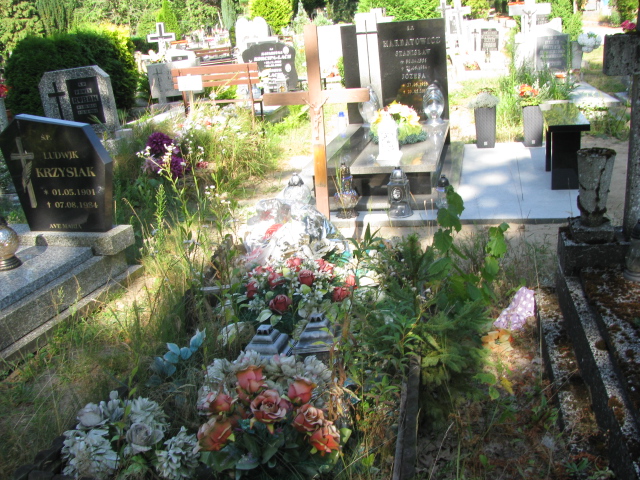 Tadeusz Urbanowski 1933 Police - Grobonet - Wyszukiwarka osób pochowanych