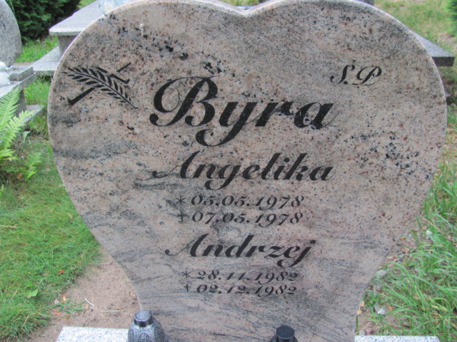 Angelika Byra 1978 Police - Grobonet - Wyszukiwarka osób pochowanych